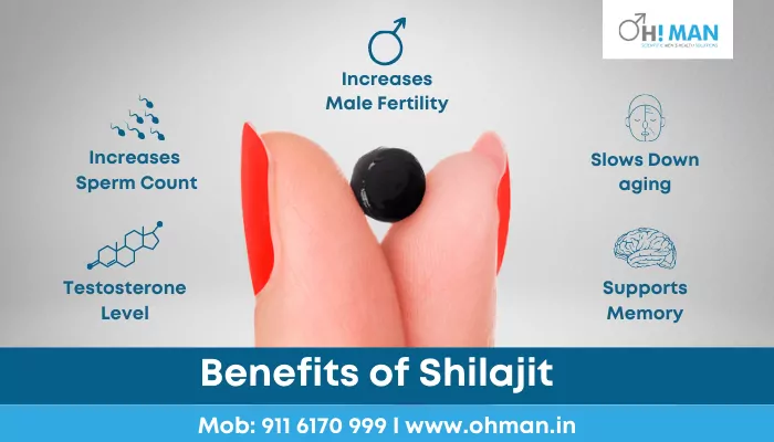 5 Benefits of Shilajit on Health everyone should a few of them are 1. it increases Testosterone level, 2. Increases sperm count, 3. increases male fertility, 4.Slows down aging 5. Supports Memory