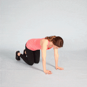 Bird Dog Position for pelvic floor exercises