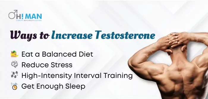 Ways to Increase Testosterone