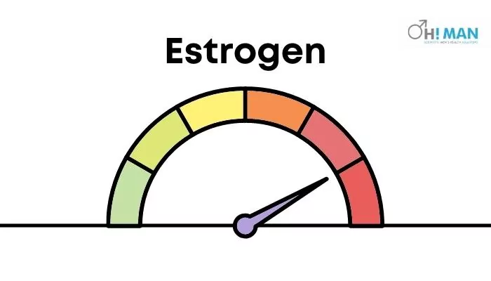 high estrogen in men